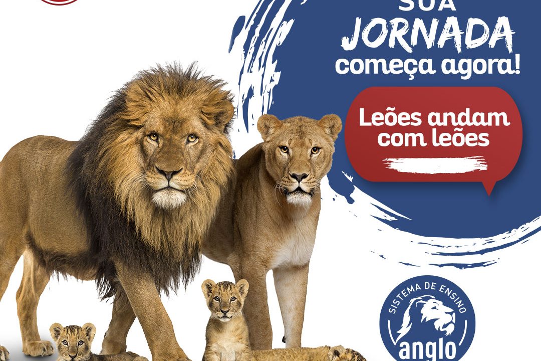 Sua-Jornada-comeca-agora-Leoes-andam-com-leoes-escola-particular-em-praia-grande-ESCOLA-CELESTIN-FREINET Sua Jornada começa agora! Leões andam com leões