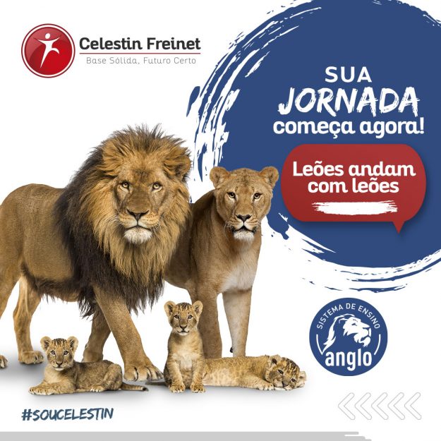 Sua Jornada começa agora! Leões andam com leões