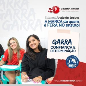 Sistema Anglo de Ensino: a marca de quem é fera 