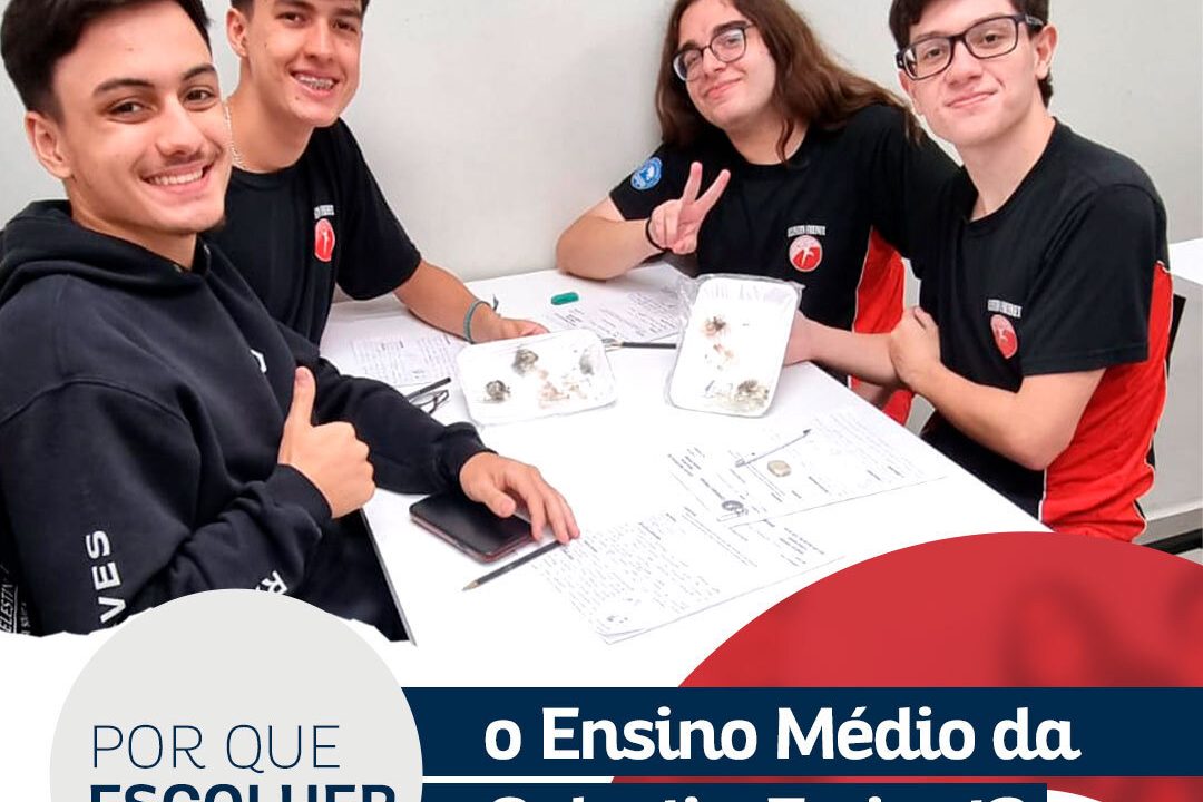 Por-que-escolher-o-Ensino-Medio-da-Celestin-Freinet_escola-praia-grande-sp-celestin-freinet-ensino-medio