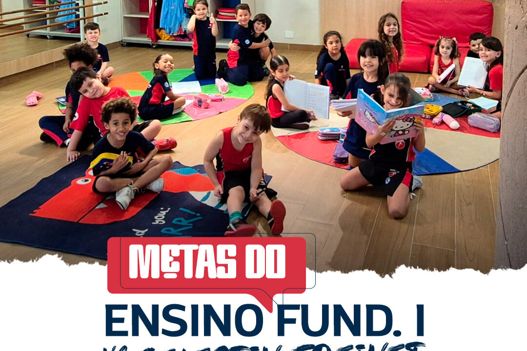 Metas do Ensino Fundamental 1 na
