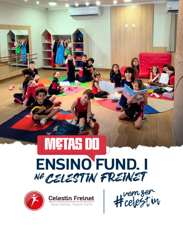 Metas do Ensino Fundamental 1 na